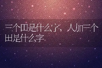 三个田是什么字,人加三个田是什么字