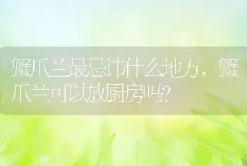 蟹爪兰最忌讳什么地方