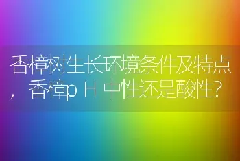 香樟树生长环境条件及特点