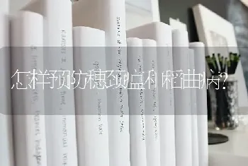 怎样预防穗颈瘟和稻曲病?