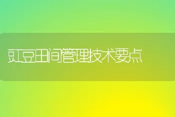 豇豆田间管理技术要点