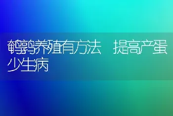 鹌鹑养殖有方法 提高产蛋少生病