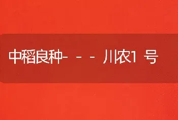 中稻良种---川农1号