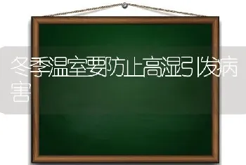 冬季温室要防止高湿引发病害