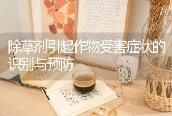 除草剂引起作物受害症状的识别与预防