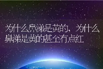 为什么鼻涕是黄的,为什么鼻涕是黄的甚至有点红