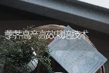 荸荠高产高效栽培技术