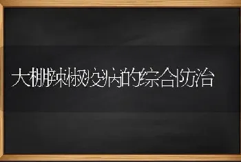 大棚辣椒疫病的综合防治