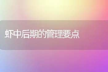 虾中后期的管理要点