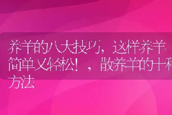 养羊的八大技巧,这样养羊简单又轻松!