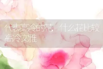 代表高冷的花