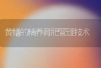 黄鳝的精养育肥管理技术