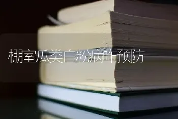 棚室瓜类白粉病咋预防