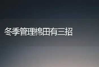 冬季管理棉田有三招