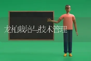 龙柏栽培与技术管理