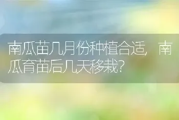 南瓜苗几月份种植合适