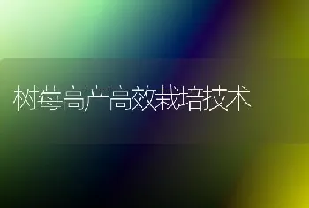 树莓高产高效栽培技术