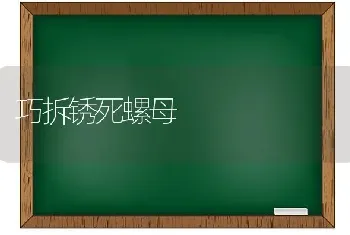 巧拆锈死螺母