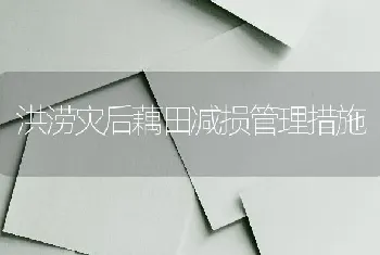 洪涝灾后藕田减损管理措施