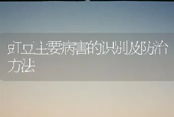 豇豆主要病害的识别及防治方法