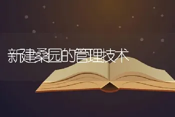 新建桑园的管理技术