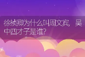 徐祯卿为什么叫周文宾