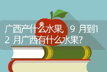 广西产什么水果