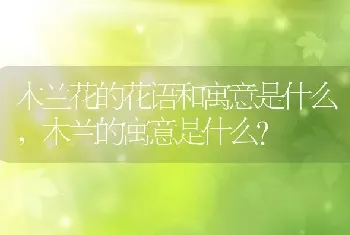 木兰花的花语和寓意是什么