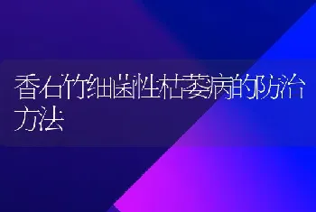 香石竹细菌性枯萎病的防治方法