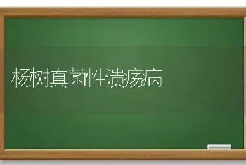 杨树真菌性溃疡病