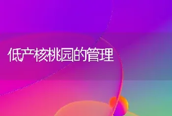 低产核桃园的管理