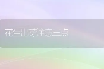 花生出芽注意三点