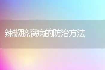 辣椒脐腐病的防治方法