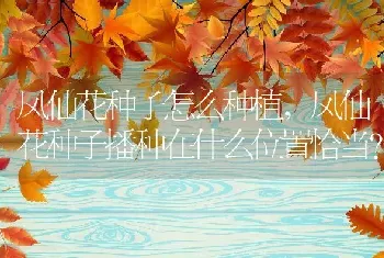 凤仙花种子怎么种植