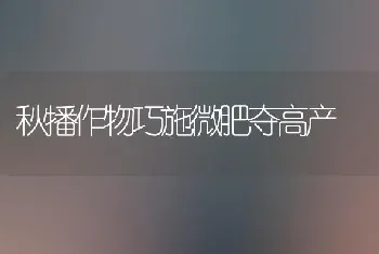 秋播作物巧施微肥夺高产