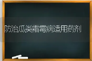 防治瓜类霜霉病适用药剂