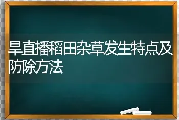 旱直播稻田杂草发生特点及防除方法