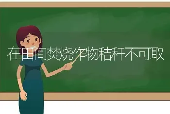 在田间焚烧作物秸秆不可取