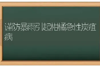 谨防暴雨引起柑橘急性炭疽病