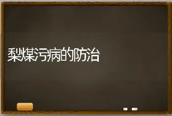 梨煤污病的防治