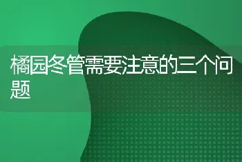 橘园冬管需要注意的三个问题