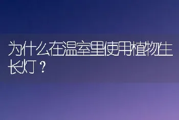 为什么在温室里使用植物生长灯?