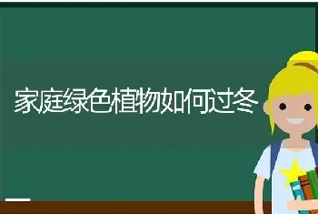 家庭绿色植物如何过冬