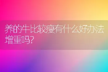 养的牛比较瘦有什么好办法增重吗?