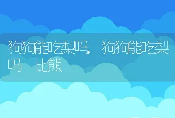 狗狗能吃梨吗,狗狗能吃梨吗 比熊