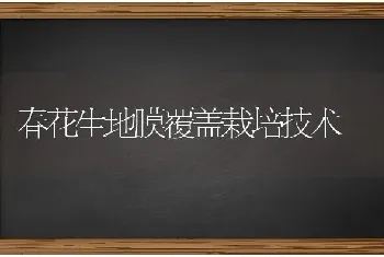 春花生地膜覆盖栽培技术