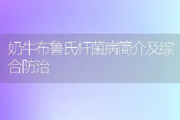 奶牛布鲁氏杆菌病简介及综合防治