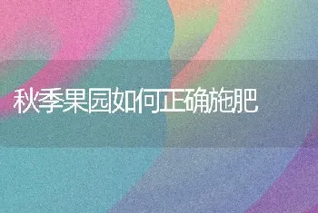 香瓜常见的病害及防治