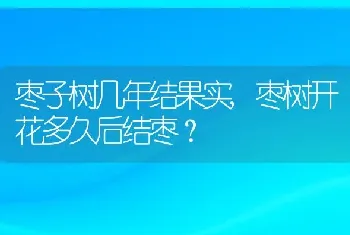 枣子树几年结果实