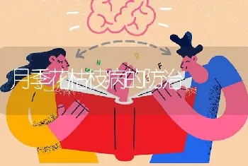 月季花枯枝病的防治